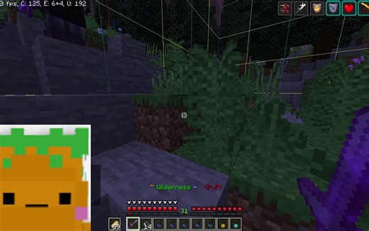 EarthMC 与野人军队游击战