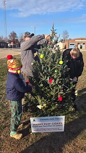 CHRISTMAS IN CHATHAM ☃️❄️ Join us Friday December 5th on the square at 6pm for the annual tree lighting! Thanks to Heather, Ben, Addie, and Liz for the amazing decorations!! ☃️⛄️ | The Village Veterinarian - Chatham, IL | Facebook