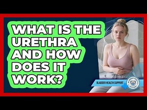 What Is The Urethra And How Does It Work? - Bladder Health Support