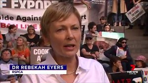 32K views · 748 reactions | Hundreds of animal activists rallied on the steps of Parliament to protest against live sheep exports. They are demanding the controversial practice be banned once and for all www.7NEWS.com.au #saparli #7NEWS | 7NEWS Adelaide | Facebook