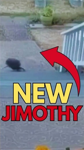Jimothy Spotted On Ring Cam
