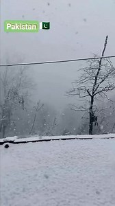 15K views · 830 reactions | Alizeh Khan #alizehkhanpk #PashtoMedia #Peshawar #pashtosongs #AlizehKhan #PK #Pakistan #KPK #viralvideo #i_love_nature | Alizeh Khan | Facebook