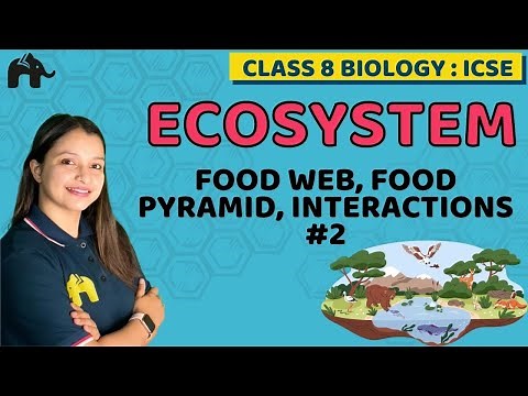 Ecosystem Class 8 ICSE Biology Chapter 4 | Selina | Food Web,Food Pyramid ,Interactions #2