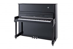 Blüthner Piano Guide: Compare Upright and Grand Models