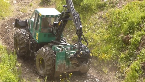Forestry Innovation Meets Sustainability at Logging Competition
