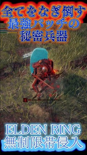 エルデンリング 地獄の侵入 全てをなぎ倒す最強パッチの秘密兵器！ ELDEN RINGDLC #elden #eldenringdlc #ダクソ3