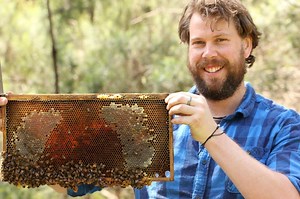 6.9K views · 32 reactions | Give a unique gift that keeps on giving. Order our Stunning Online Beekeeping Apprentice Course for beginner Beekeepers. Visit: https://beekeepingapprentice.mykajabi.com/p/christmaslaunchspecial | Beekeeping Apprentice | Facebook