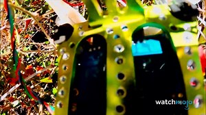 Top 10 Funniest Things Caught by Drones