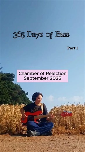 365 Days of Bass (First Year of Progress) Part 1