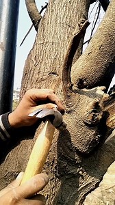 11K views · 88 reactions | Tips Style Tools Only Master #tips #tricks #viral #Amazing #tools #work | RN Tips6 | Facebook