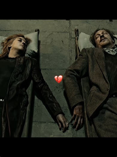 Remus Lupin and Nymphadora Tonks Relationship in Harry Potter
