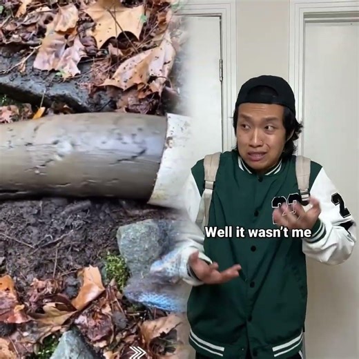 When Asians Solve aMystery Playing Scrabble#competition #memes