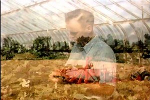 1950s Agricultural Experiments Go On Greenhouses Stock Footage Video (100% Royalty-free) 27792547 | Shutterstock
