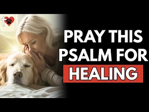Healing Psalm for Sick Dogs - Speak Life Over Your Pet Today – prayer for dogs