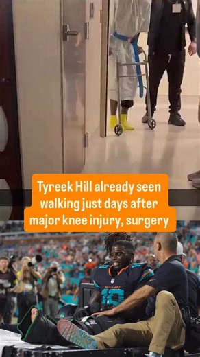 Pretty incredible stuff from Cheetah 🙏 (via @cheetah) #nfl #tyreekhill #dolphins | Sports Illustrated