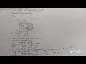 Biology form 1 quick revision Questions and Answers in detail-Introduction to Biology and The cell