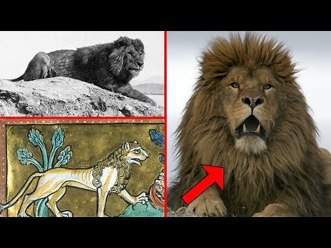 GIANT LION Myth! The Last Roar: Atlas Lion And The History Of Lions In Europe. Interesting Facts!