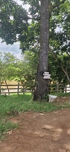 Refúgio maravilhoso.