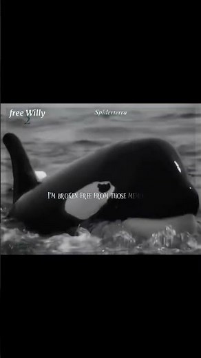 Free Willy 2