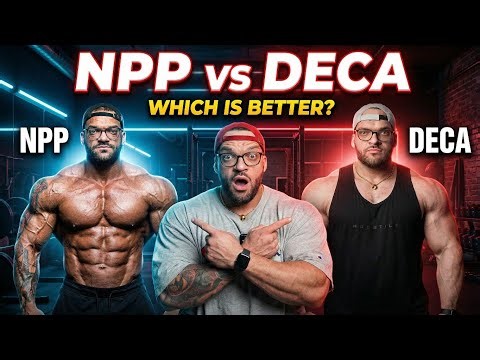Le NPP vs Deca Durabolin en bodybuilding?