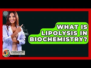What Is Lipolysis In Biochemistry? - Chemistry For Everyone