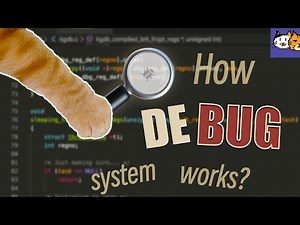 What is debug and how debugger works？