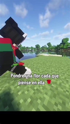 Pondré una flor cada vez que piense en ella – Minecraft