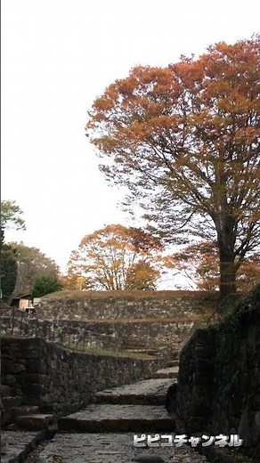 Which castle is this? Part 102