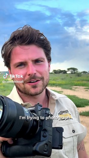 Capturing the Ground Pangolin: A Conservation Focus