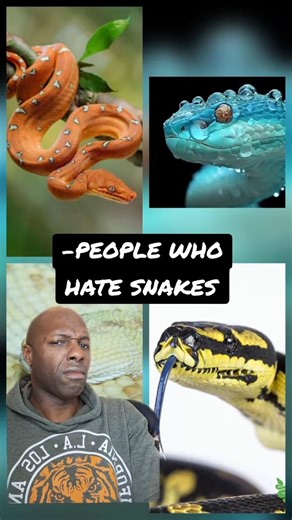 #shorts #snakes #snek #funny #animals #reptiles #memes #frollo #hunchbackofnotredame #disney