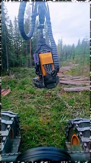 Part 062 Feller Buncher operator skills #woodworkingmachine