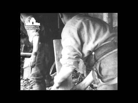 In Their Own Words : ANZACs of the Western Front