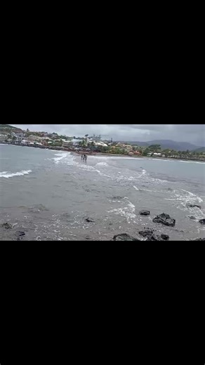 Jose Parra on TikTok