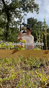 6.1K views · 87 reactions | Hear me out! Yes setting the baby down or...