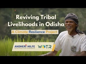 Reviving Tribal Livelihoods in Odisha | A Climate Resilience Project