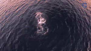 This amazing footage from over the Pacific Ocean near Cabo San Lucas, Mexico shows a whale pop out of the water and give a wave to the camera as the sun sets in the background. (Credit: Caters News Agency ) | The Weather Channel