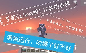 PojavLuancher启动器-手机玩Java版我的世界/支持最新Java版1.16.5!骁龙835游玩原版无优化插件可以流畅运行!