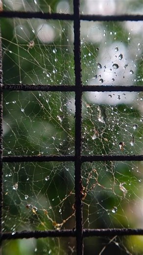 How to Take Professional Photos | Easy Photography Tips & Tricks #photographytips