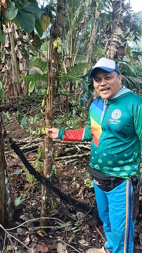 Reynan Seron on Reels