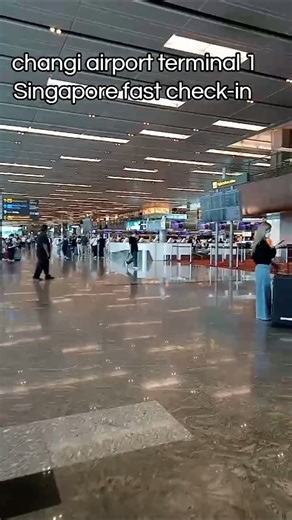 changi airport terminal 1 Singapore fast check-in #flightinformation #singapore #triptravel #explore