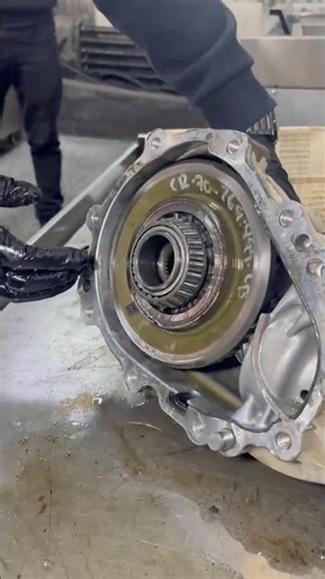 Rear Axle Differential Maintenance!