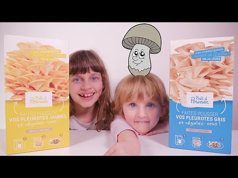 [TUTO] Faire pousser et manger ses propres champignons - Studio Bubble Tea unboxing mushrooms