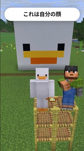 【マイクラ】自分のマイクラスキン立体で作った！ #マインクラフト #minecraft