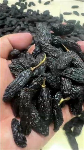 The World’s Most Expensive Raisins You Have Never Knew! #shorts #plants #farming