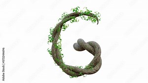 Tree grow or vine in the shape of the English text. Letter font G. Alpha Channel, cg animation, 3D Render.