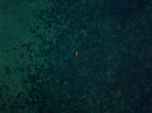 Howard Gardner Discusses Standardized Testing in Interview with Big Think — MI Oasis