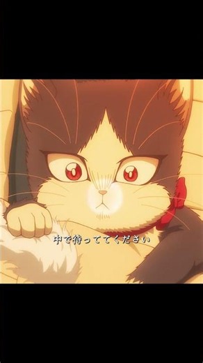 猫、ダイエット中！#shorts