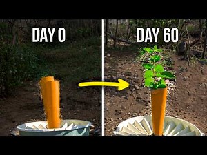 I Tested a Desert Tree Technology