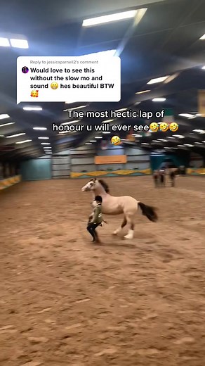 Reply to @jessicaparnell2 Welsh pony owners are crazy, wouldn’t want to be part of any other community🤣 #fypシ #lapofhonour
