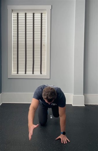 Bird Dog Exercise